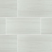 Eden Dolomite Matte 12x24 Porcelain  Tile