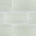 Eden Dolomite Matte 24x48 Porcelain  Tile