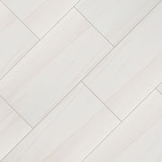 Eden Dolomite Matte 24x48 Porcelain  Tile