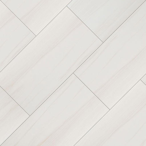 Eden Dolomite Matte 24x48 Porcelain  Tile