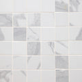 Eden Statuary 2x2 Square Matte Porcelain  Mosaic