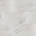 Eden Statuary Matte 12x24 Porcelain  Tile