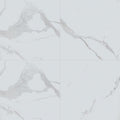 Eden Statuary Matte 24x24 Porcelain  Tile