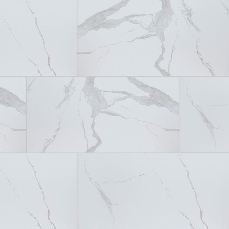 Eden Statuary Matte 24x48 Porcelain  Tile