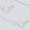 Eden Statuary Polished 24x24 Porcelain  Tile