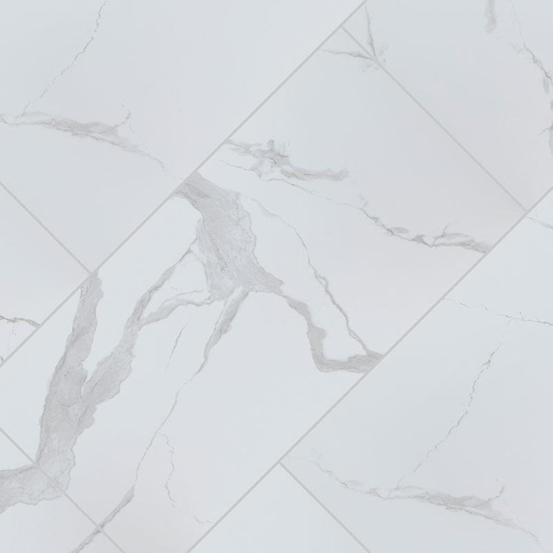 Eden Statuary Polished 24x48 Porcelain  Tile