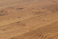Elysian By Montserrat Collective Tan 7-1/2xrl 2 mm Engineered Hardwood European Oak