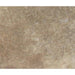English Walnut Travertine Coping 16x24 Unfilled, Honed Bullnose  2 inch