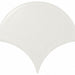 Equipe Scale Fan Matte White 4.24x4.80 Ceramic  Tile