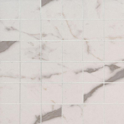 Essentials White Vena 2x2 Square Matte Ceramic  Mosaic