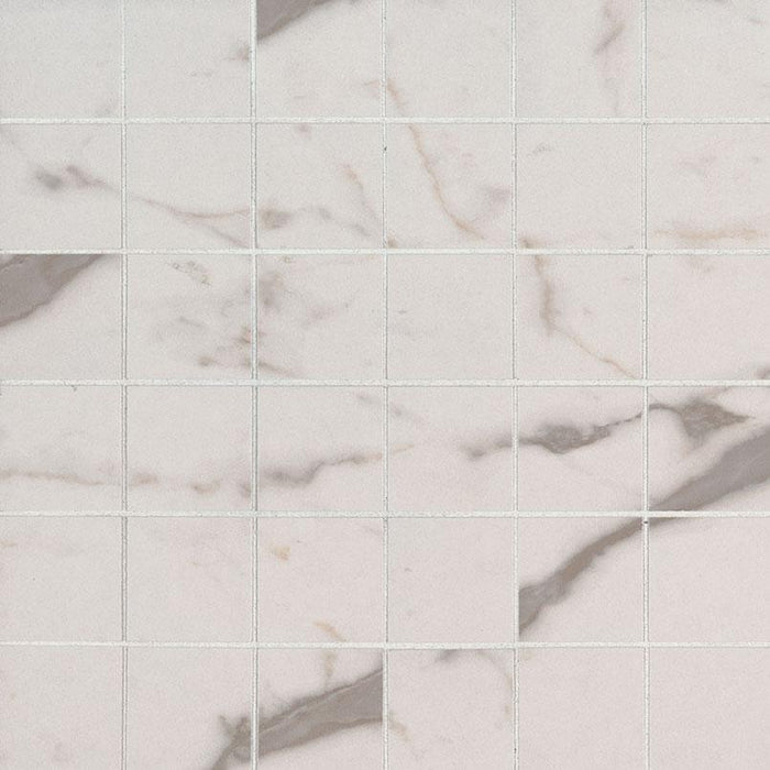 Essentials White Vena 2x2 Square Matte Ceramic  Mosaic