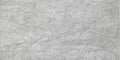 Evolution Grey Textured 12x24 Porcelain  Tile