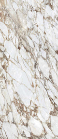 Exotic Stone Cosmopolitan Arabescato Oro Polished 24x48 Porcelain  Tile