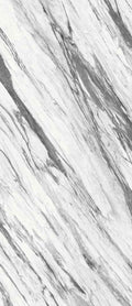 Exotic Stone Cosmopolitan Statuario Fantastico Polished 24x48 Porcelain  Tile