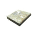 Fantastico Travertine Coping 12x12 Unfilled, Honed Bullnose  2 inch