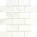 Florentine Carrara 2x4 Rectangle Matte Ceramic  Mosaic