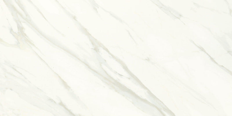 Florentine Carrara Matte 12x24 Porcelain  Tile