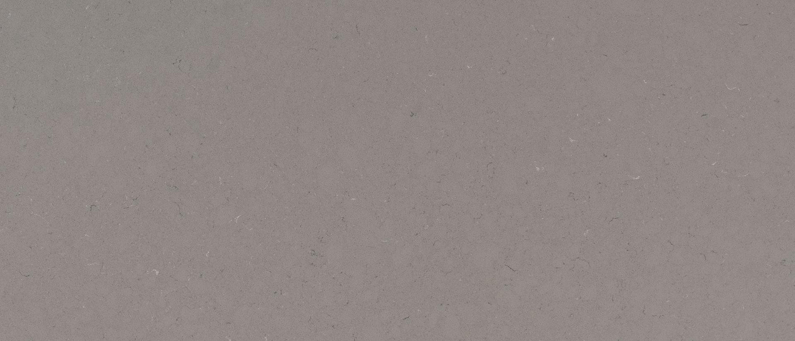 Fossil Gray 126x63 2 cm Polished Quartz Slab
