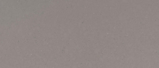 Fossil Gray 127x75 2 cm Polished Quartz Slab
