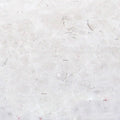 Freska Limestone Coping 12x12 Tumbled Bullnose Neutral Tan 2 inch