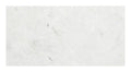 Freska Limestone Tile 12x24 Honed