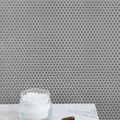 Geometro 2.0 Coin Hexagon Matte Glass  Mosaic