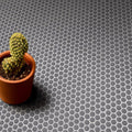 Geometro 2.0 Coin Hexagon Matte Glass  Mosaic