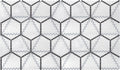 Geometro 2.0 Metro Downtown Hexagon Matte Glass  Mosaic