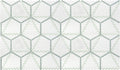 Geometro 2.0 Metro Midtown Hexagon Matte Glass  Mosaic