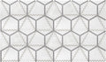 Geometro 2.0 Metro Uptown Hexagon Matte Glass  Mosaic