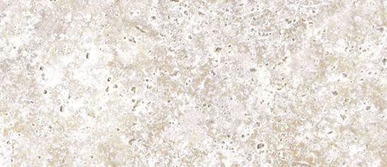 Ivory Beige Travertine Paver 16x24 Tumbled   1.25 inch