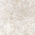 Ivory Beige Travertine Tile 12x12 Unfilled, Honed