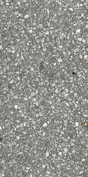 Le Veneziane Santa Croce Luc Polished 12x24 Porcelain  Tile