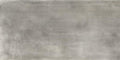 Leghe Platino Matte 12x24 Porcelain  Tile