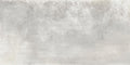 Leghe Stagno Matte 24x48 Porcelain  Tile