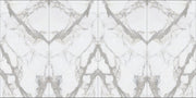 Maestro Bernini Classico 60x120 6 mm Polished Porcelain Slab