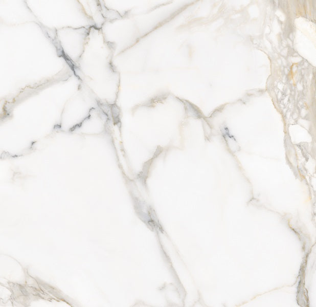 Maestro Bernini Oro Honed 30x30 Porcelain Tile — Solidshape