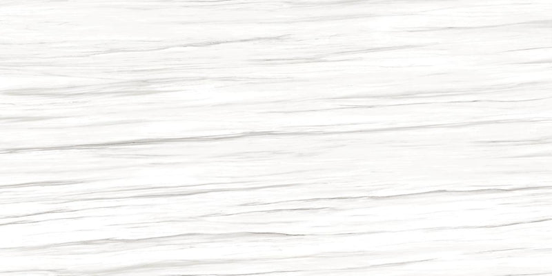 Maestro Carrara Zebrino 60x126 12.0 mm Polished Porcelain Slab