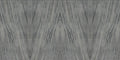 Maestro Platinum Grey 60x120 6 mm Honed Porcelain Slab