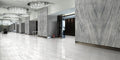 Maestro Platinum Grey 60x120 6 mm Polished Porcelain Slab