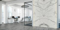 Maestro Platinum Grey B 60x126 12 mm Polished Porcelain Slab