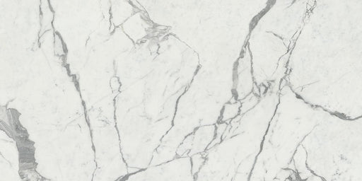 Maestro White Statuario 60x120 6 mm Honed Porcelain Slab
