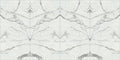 Maestro White Statuario B 60x126 12.0 mm Polished Porcelain Slab