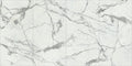 Maestro White Statuario B 60x126 12.0 mm Polished Porcelain Slab