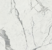 Maestro White Statuario Honed 30x30 Porcelain  Tile