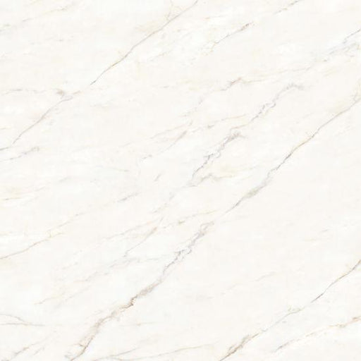 Magnifica The Thirties Calacatta Oro Honed 30x30 Porcelain  Tile