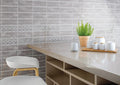 Maiolica Tender Gray Glossy 4x10 Ceramic  Tile