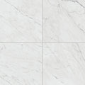 Marble Attaché Lavish Diamond Carrara Polished 24x24 Porcelain  Tile