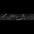 Marble Ordino Marquina Matte 3.20x17.50 Porcelain  Tile