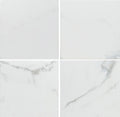 Massa Calacatta Waterline 6x6 Porcelain  Tile